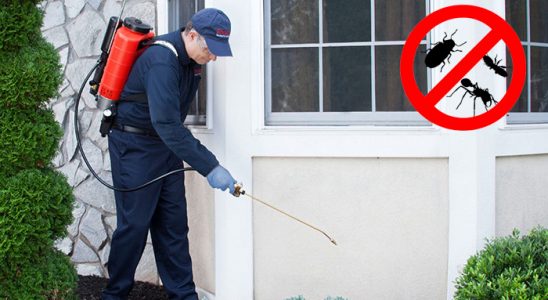 Eyyübiye Akrep İlaçlama böcek ilaçlama ve haşere kontrolü — ilaclama-tr.com